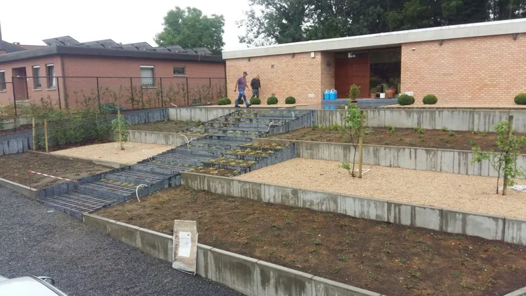 Aangelegde tuin met gazon en borders in Limburg
