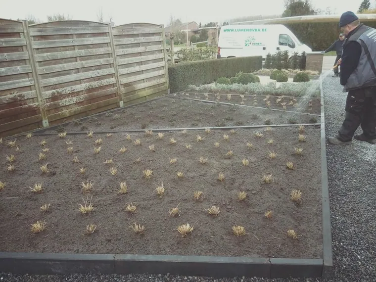 Gerealiseerde tuin door Lumen bv in Herk-de-Stad