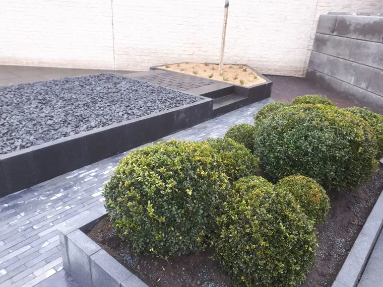 Kasseien bestrating door Lumen bv